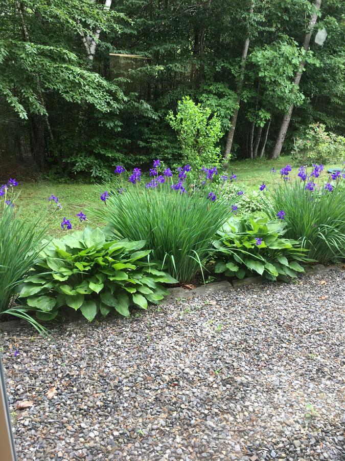 Blueberry Fields Bed & Breakfast Jefferson ภายนอก รูปภาพ